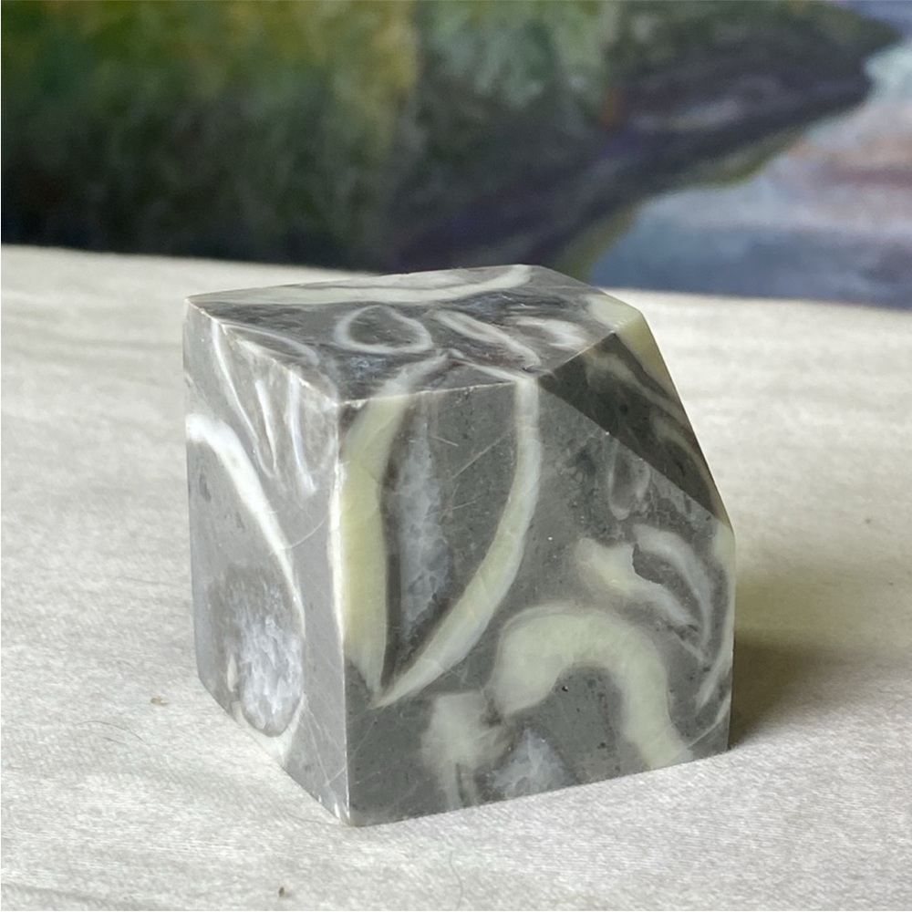 Shell Jasper /Thousand Eye Cube
